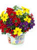 Miniaturbild Nr. 3 zum wechseln des gro�en Produktbildes auf das zweite zus�tzliche Bild