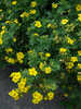Miniaturbild Nr. 3 zum wechseln des gro�en Produktbildes auf das zweite zus�tzliche Bild