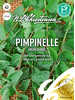 Samen - Pimpinelle