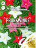 Prunkwinde Feather Mix