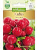 Samen - Radies Cherry Belle