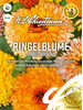 Ringelblume Sunset Mischung