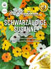 Samen - Schwarzäugige Susanne Blackeye Mix