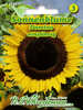 Samen - Sonnenblume Domino