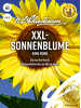 Sonnenblume King Kong