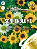 Sonnenblume Little Star