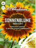 Samen - Sonnenblume Shock-o-lat, F1