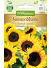 Sonnenblume Sunbright Supreme