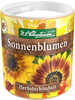 Sonnenblumen Herbstschnheit