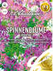 Samen - Spinnenblume Spider Mix