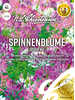 Spinnenblume Spider Mix