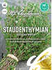 Staudenthymian Deutscher Winter