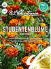 Samen - Studentenblume Honeycomb