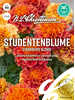 Studentenblume Strawberry Blonde