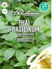 Samen - Thai-Basilikum