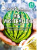 Samen - Wassermelone Mini love, F1