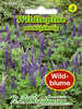 Samen Wildblumen - Wildlupine
