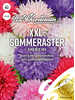 Samen - XXL-Sommeraster King-Size Mix