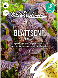 Samen -  Blattsenf Red Giant