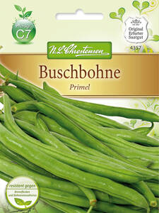 Samen -   Buschbohne Primel: (Bildbeschreibung ist in Arbeit)