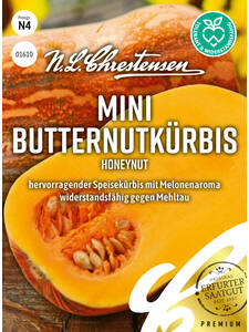 Samen -  Butternutkrbis Honeynut