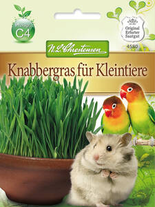 Samen -  Knabbergras fr Kleintiere