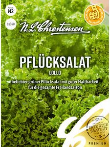 Salatsamen -  Pflcksalat Lollo