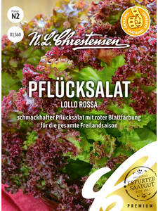 Samen -  Pflcksalat Lollo rossa: (Bildbeschreibung ist in Arbeit)