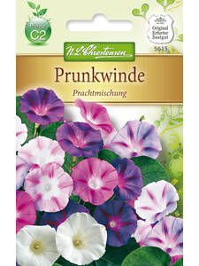 Samen -   Prunkwinde Prachtmischung: (Bildbeschreibung ist in Arbeit)