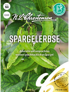 Erbsensamen -  Spargelerbse