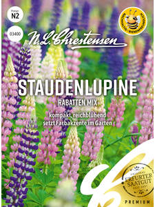 Samen -  Staudenlupine Rabatten-Mix