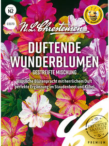 Samen -  Wunderblume gestreifte Mischung: (Bildbeschreibung ist in Arbeit)