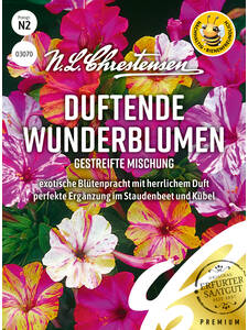 Samen -  Wunderblume gestreifte Mischung