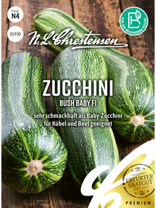 Samen -  Zucchini Bush Baby F1: (Bildbeschreibung ist in Arbeit)