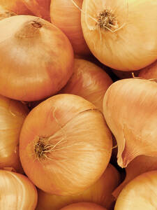 Steckzwiebel Stuttgarter Riesen (500 g) Steckzwiebel Stuttgarter Riesen (500 g)