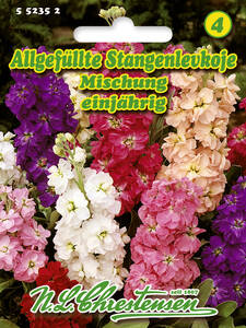Samen - Allgefllte Stangenlevkoje Mischung: (Bildbeschreibung ist in Arbeit)