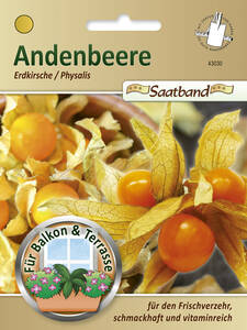 Andenbeere/Erdkirsche/Physalis