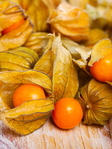 Andenbeere Preciosa (unveredelt): (Bildbeschreibung ist in Arbeit)