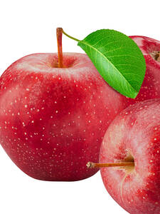 Apfel Elmira: (Bildbeschreibung ist in Arbeit)