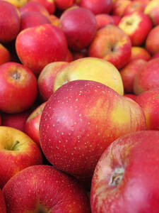 Apfel Wellant: (Bildbeschreibung ist in Arbeit)