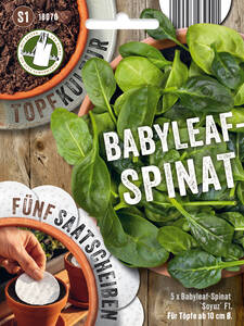 Samen - Babyleaf-Spinat Soyuz, F1 - Saatscheiben: (Bildbeschreibung ist in Arbeit)