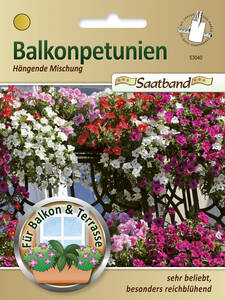 Samen - Balkonpetunien Hngende Mischung: (Bildbeschreibung ist in Arbeit)