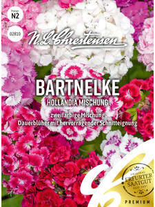 Samen - Bartnelke Hollandia Mischung: (Bildbeschreibung ist in Arbeit)