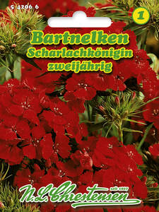 Samen - Bartnelke Scharlachknigin