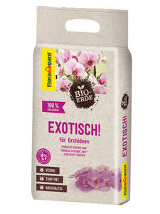 Dekoratives Vorschaubild des Artikels "Bio-Erde Exotisch" (Bildbeschreibung ist in Arbeit)