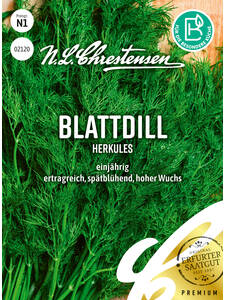 Samen - Blattdill Herkules