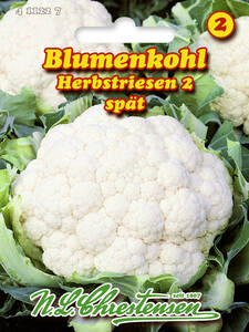 Samen - Blumenkohl Herbstriesen 2