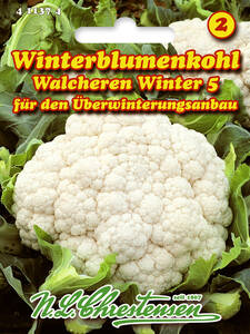 Samen - Blumenkohl Walcheren Winter 5