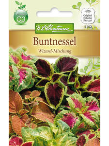 Balkonpflanzen - Buntnessel Wizard-Mischung: (Bildbeschreibung ist in Arbeit)