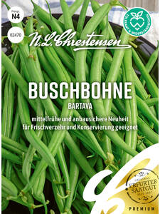 Samen - Buschbohne Bartava: (Bildbeschreibung ist in Arbeit)